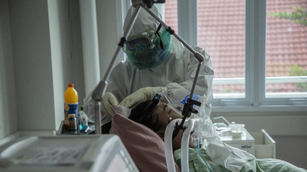 La voz de los especialistas