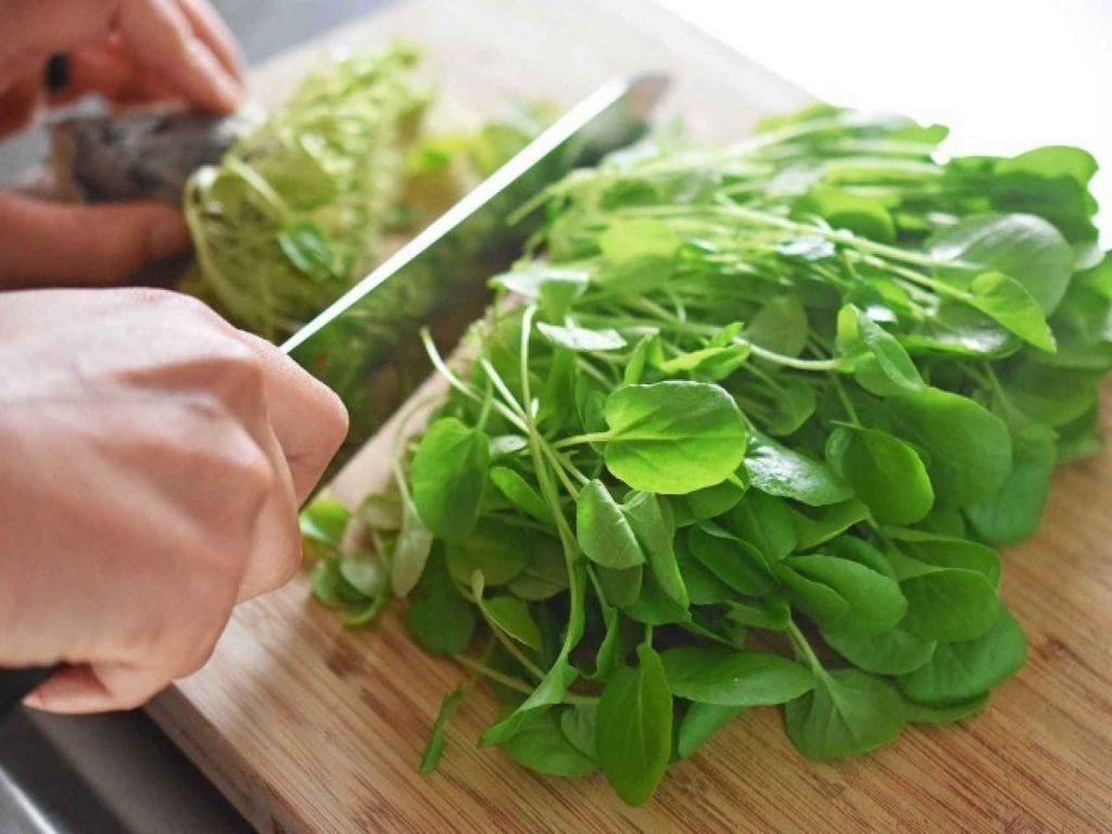 ¿Cuál es la función del calcio?