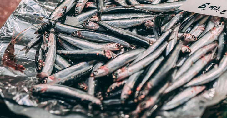 Anchoas en salazón, la alternativa a las de vinagre que son más fáciles de hacer(17) Anchoas en salazón, la alternativa a las de vinagre que son más fáciles de hacer