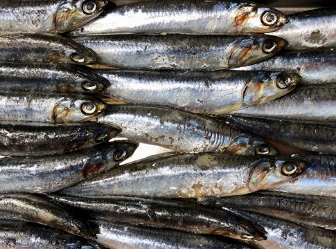 Boquerones amoragaos, la curiosa receta granaína que te gustará más que los de vinagre11 Boquerones amoragaos, la curiosa receta granaína que te gustará más que los de vinagre
