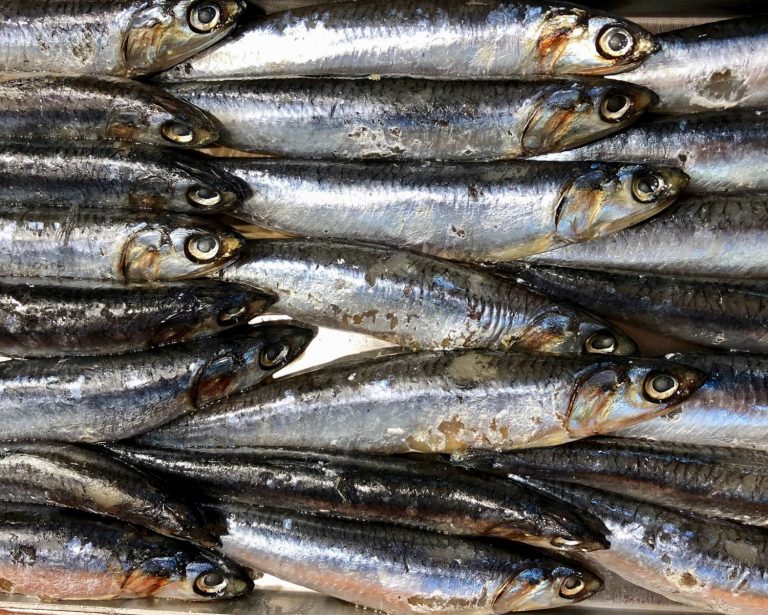 La receta de Samantha Vallejo-Nágera para unos boquerones en vinagre perfectos: vinagre barato del súper