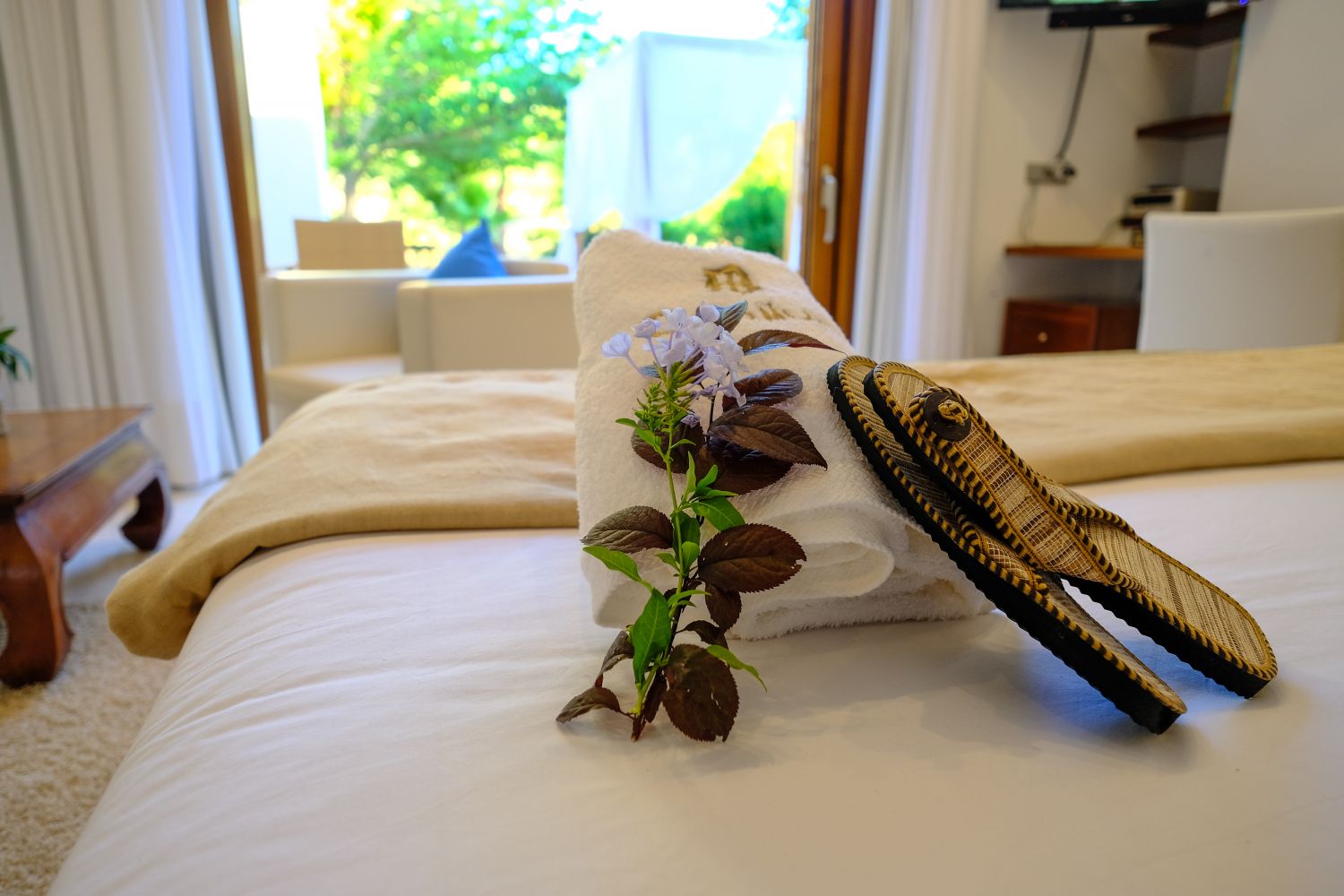 Can Lluc 170619 SGC6348