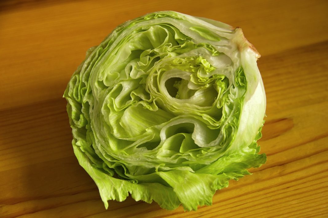Alimentos saludables: la hoja verde como escudo de la memoria