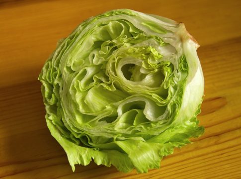 Alimentos saludables: la hoja verde como escudo de la memoria Alimentos saludables: la hoja verde como escudo de la memoria