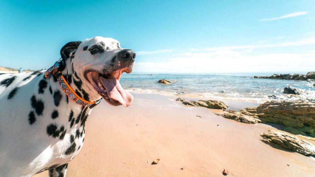 Comunidad Valenciana