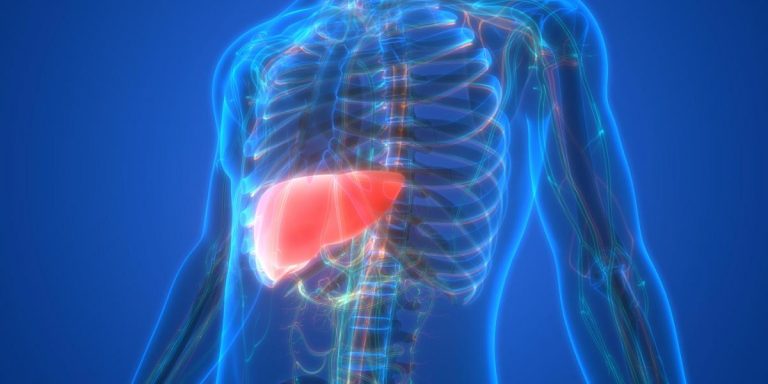 Hígado graso: alimentos que no deberías comer