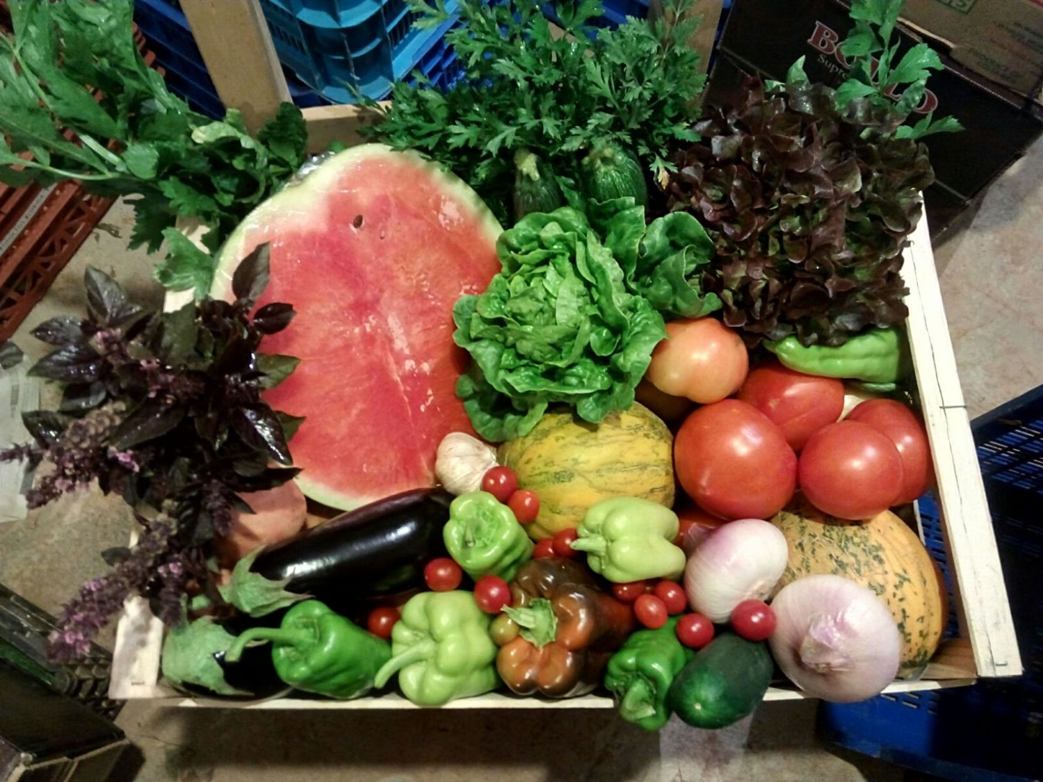 IMG 20160731 WA0000 1