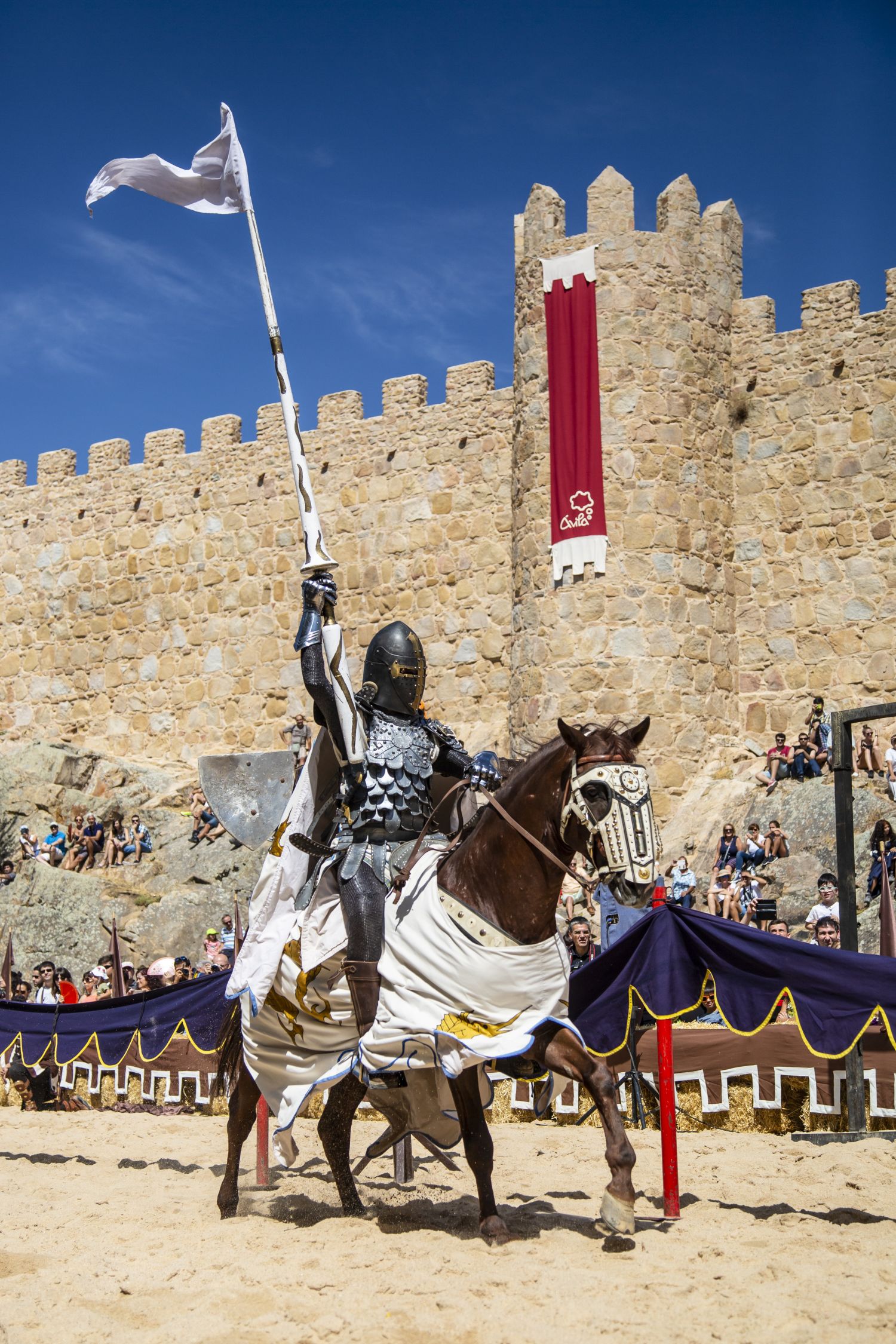 Jornadas Medievales de Ávila, un viaje de dos días a la Edad Media 3 Jornadas medievales Ciudad Avila Javi Calvo 4