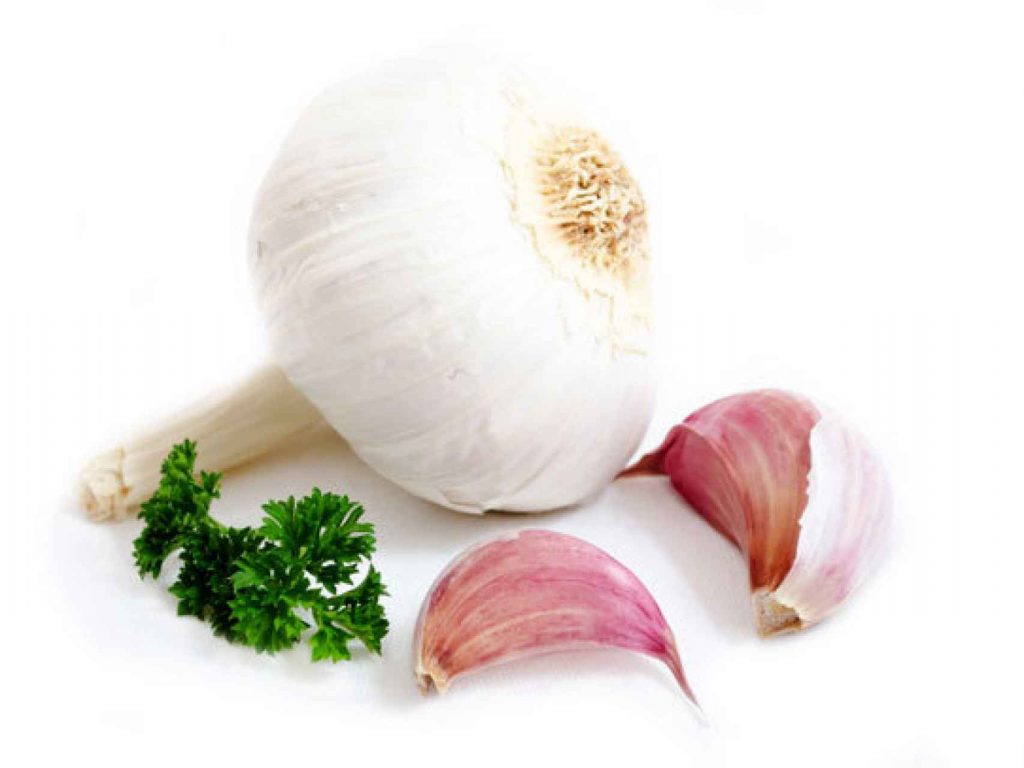 Bienvenido el Ajo otros de los productos naturales