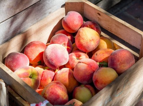 Mermelada de melocotón la receta más fácil para hacerla en casa (10) fruta