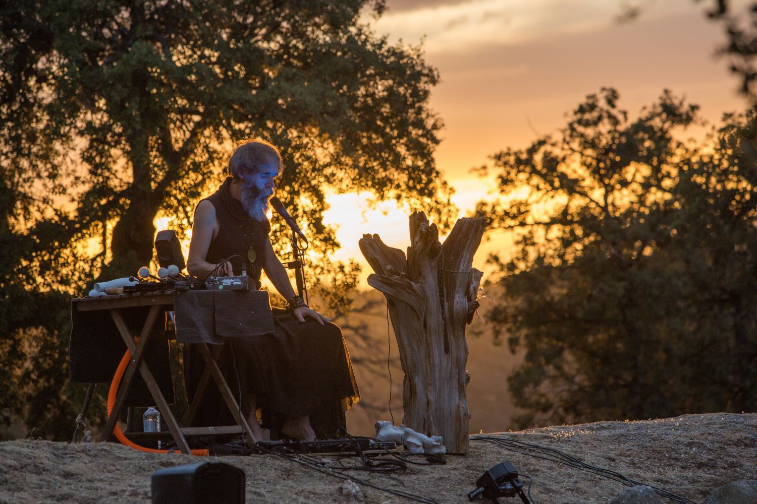 NEONYMUS 2 © Ramón López