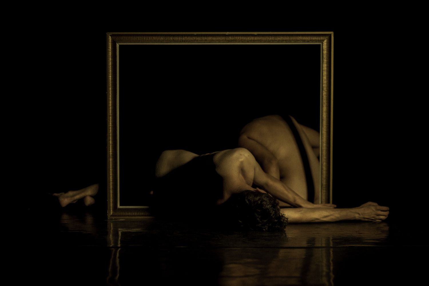 OB SKENA LainversiondelPaisajeAlta