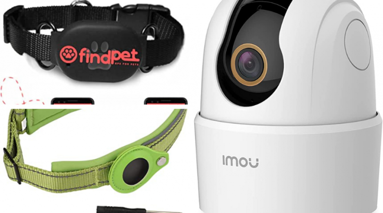 La cámara 'cuidamascotas' que arrasa en Amazon: vigila, lanza golosinas y más