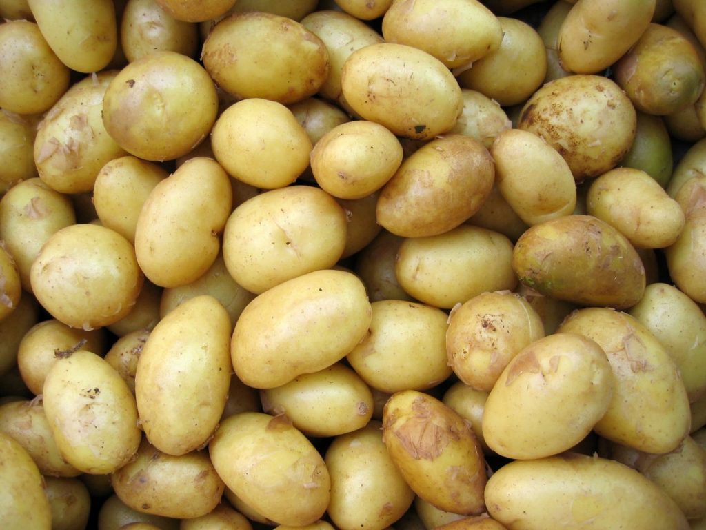 Patatas con chorizo: El secreto de Arguiñano para que siempre le salgan bien 113 Patatas con chorizo El secreto de Arguiñano para que siempre le salgan bien