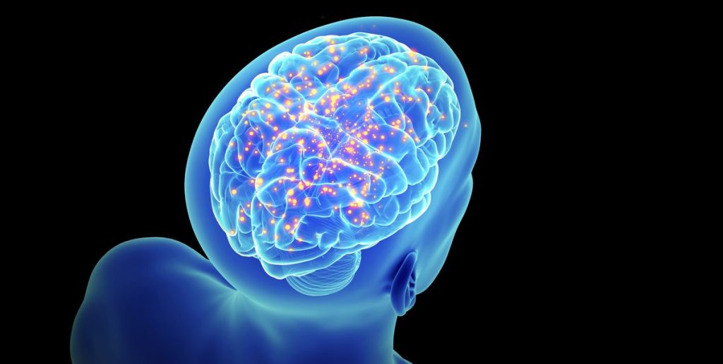 ¿Qué relación hay entre la obesidad y la dopamina?