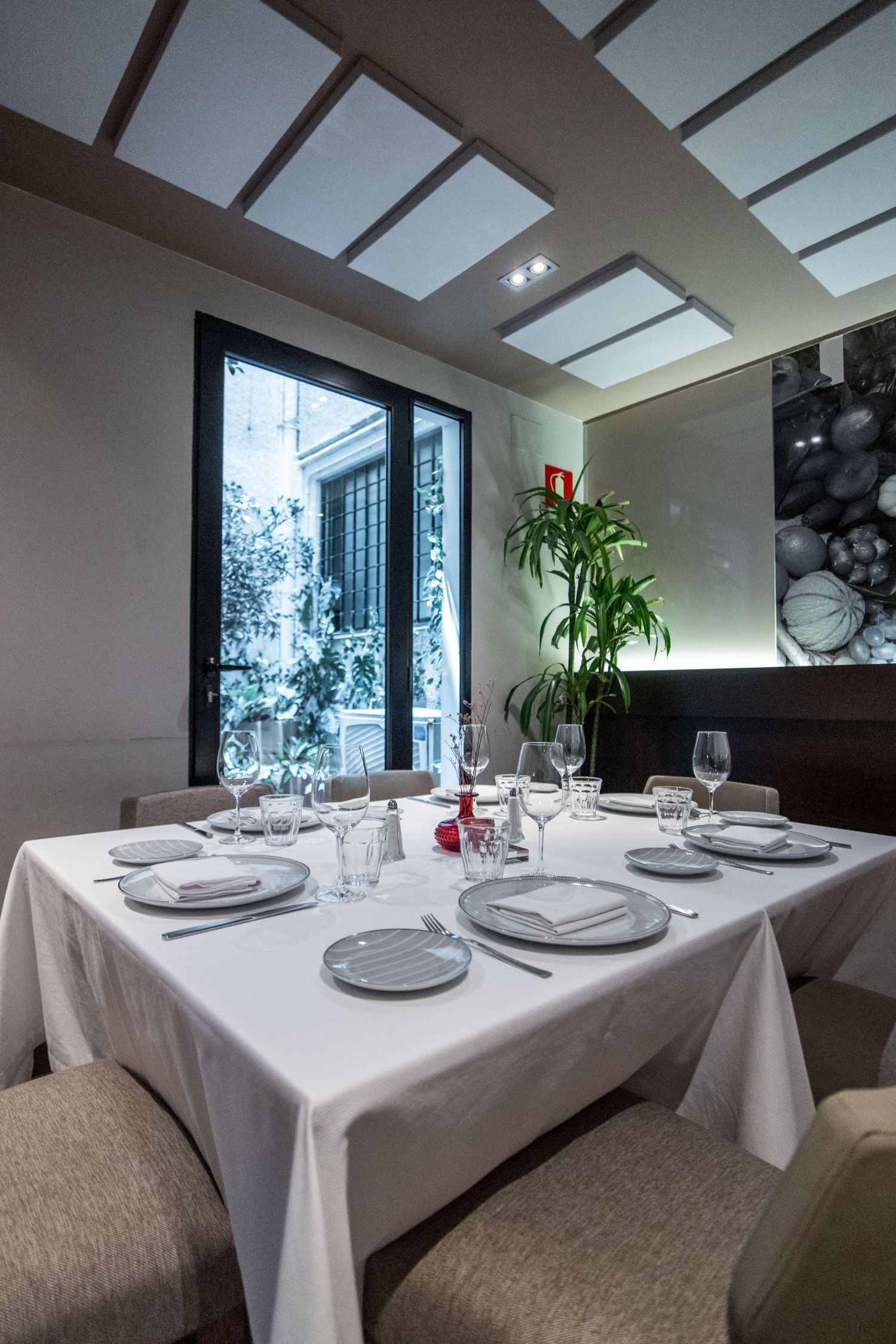 Candeli, el referente de las brasas y el producto en Ponzano 26 SALA4