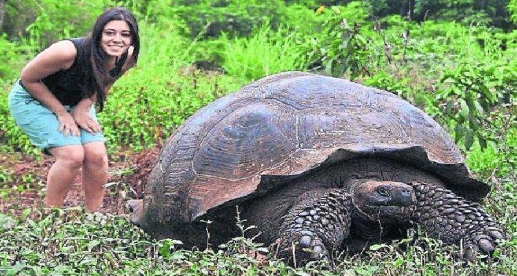Los animales que más viven en el mundo, ¡impresionante!
