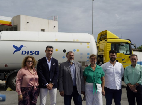 disa
