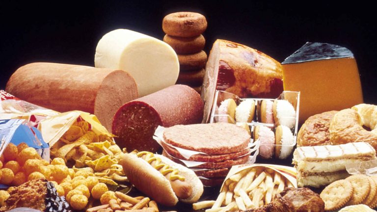 Una dieta de alto contenido en grasas a largo plazo aumenta la cintura y reduce el cerebro