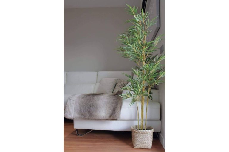 La innovación en la decoración y las plantas decorativas artificiales, por Zamyo