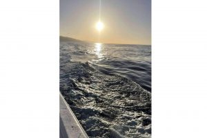 Ver San Sebastián desde el mar en catamarán