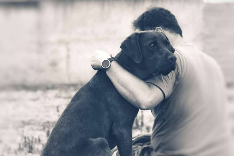 Terapias con perros de apoyo emocional para la prevención del suicidio