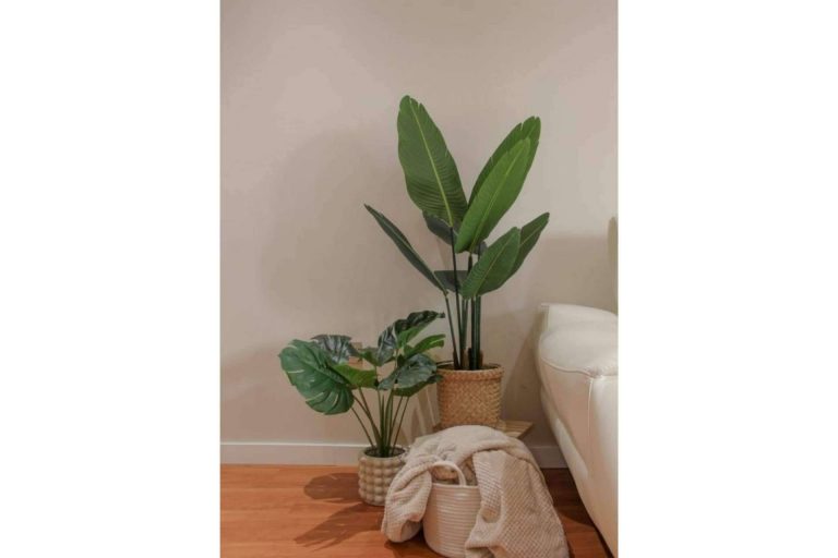 Beneficios de optar por plantas artificiales, de la mano de Zamyo