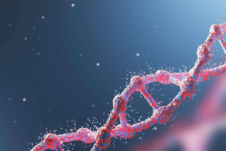 Paredros ofrece planes de nutrición personalizados gracias a la medicina integrativa