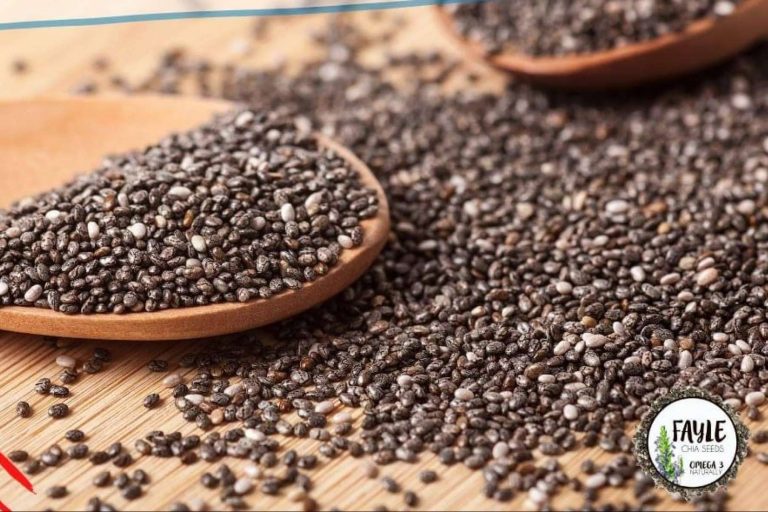 La semilla de chía cultivada en México de Fayle Seeds