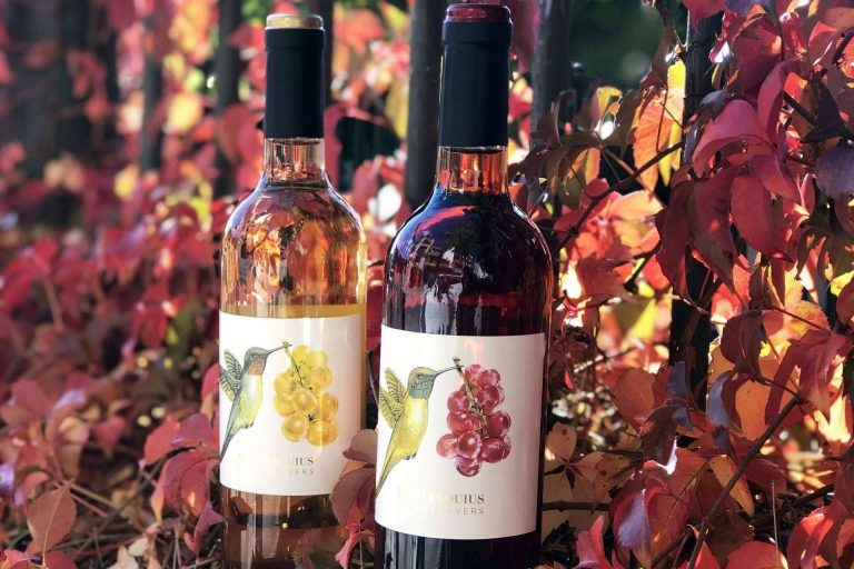 Naturelovers Wines es una tienda online de vinos y enoturismo