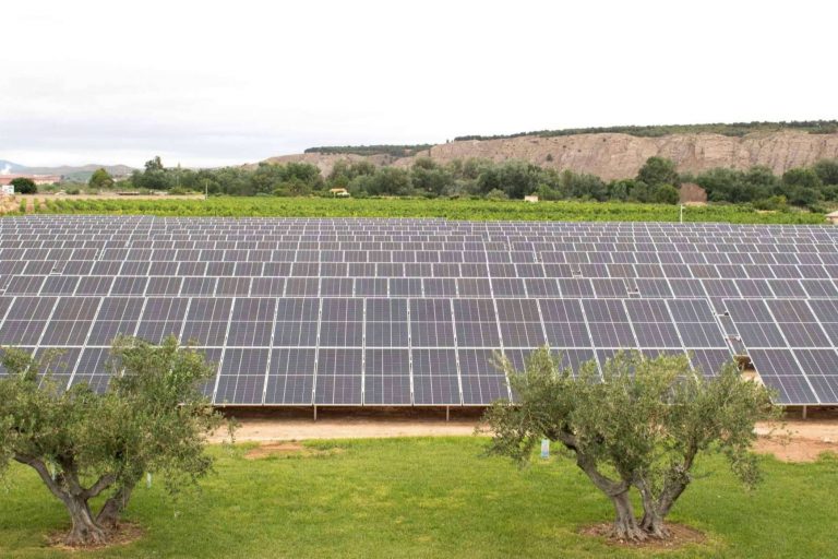 Intermalta, una de las compañías pioneras en el autoconsumo de energía, ha inaugurado sus instalaciones fotovoltaicas