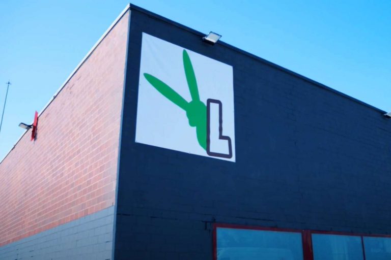 LovePets y sus opciones de alimentación natural para perros