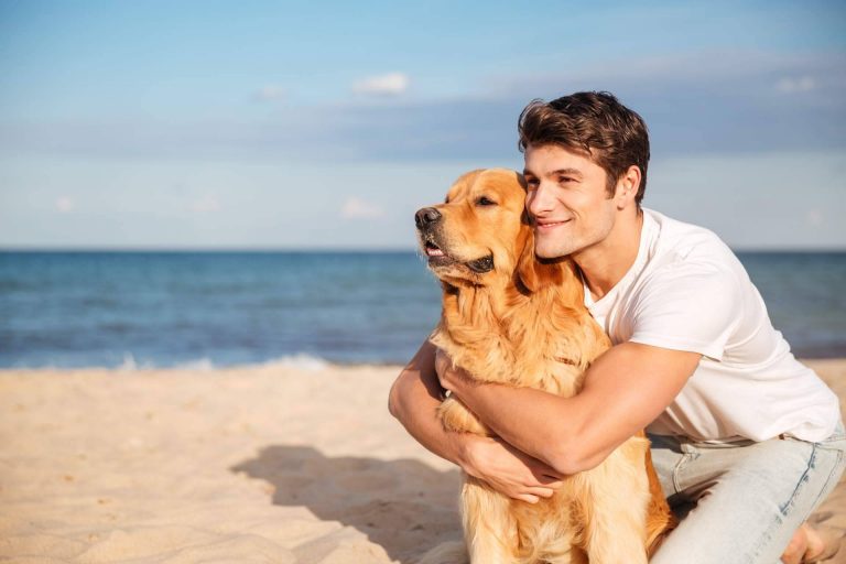 Evitar que las protectoras colapsen adoptando perros en verano