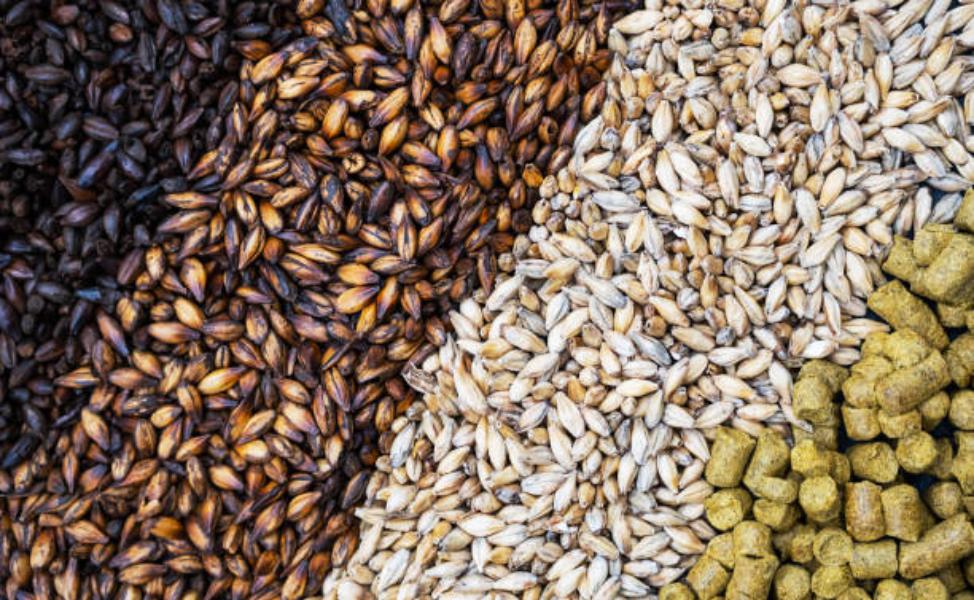 Ingredientes para hacer cerveza artesanal en casa