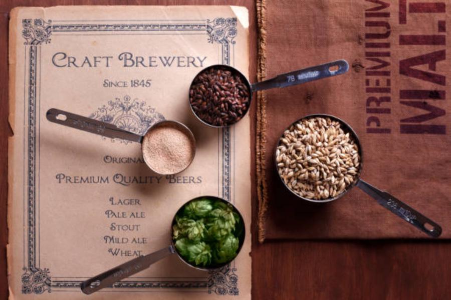 Lo único que necesitas para preparar tu propia cerveza