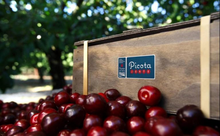Cerezas o picotas: esta es la única forma real de diferenciarlas