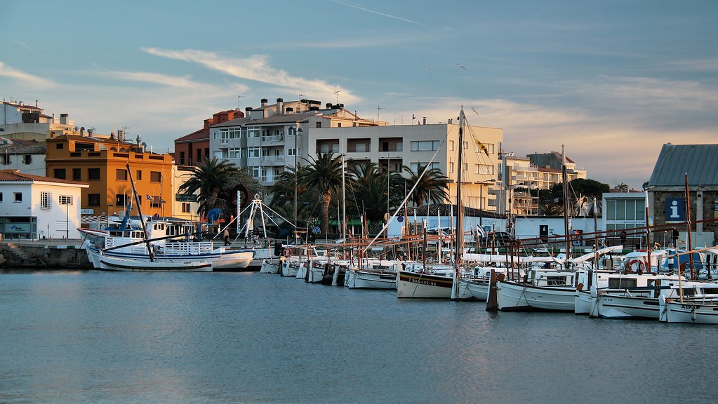 16565919638 995a0bee6b b