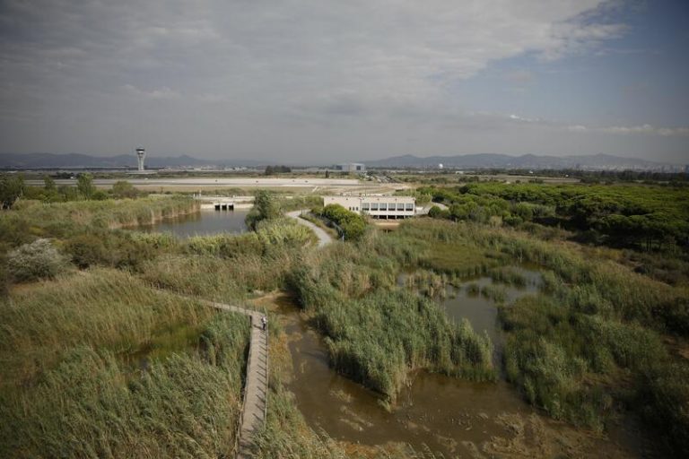 Prisión provisional sin fianza para el presunto responsable de 9 incendios en el Prat (Barcelona)
