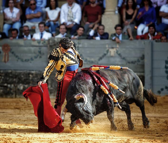 Animalistas y localistas de Ceuta se oponen a una corrida de toros para homenajear a La Legión