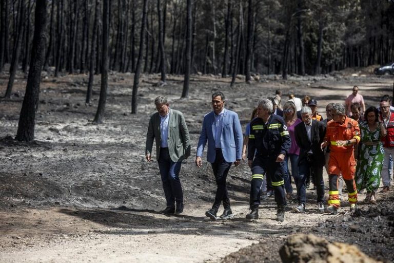 Sánchez pide evitar 