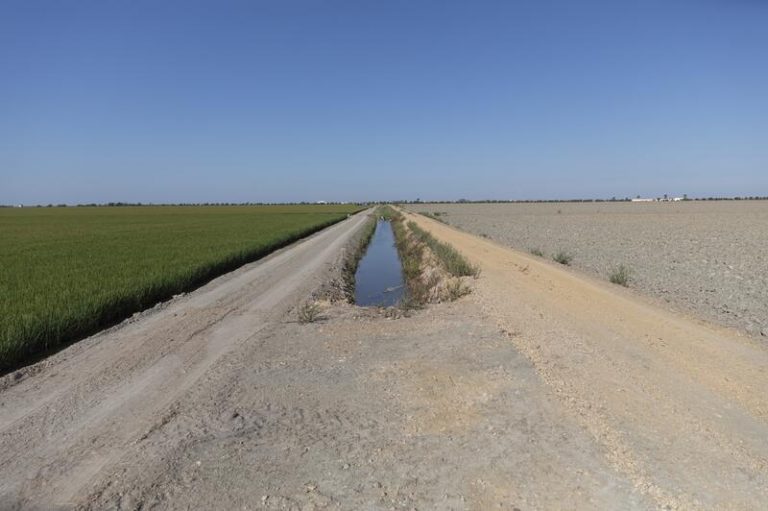 Andalucía valora que el Gobierno reaccione a su petición de convocar la Mesa Nacional de Sequía
