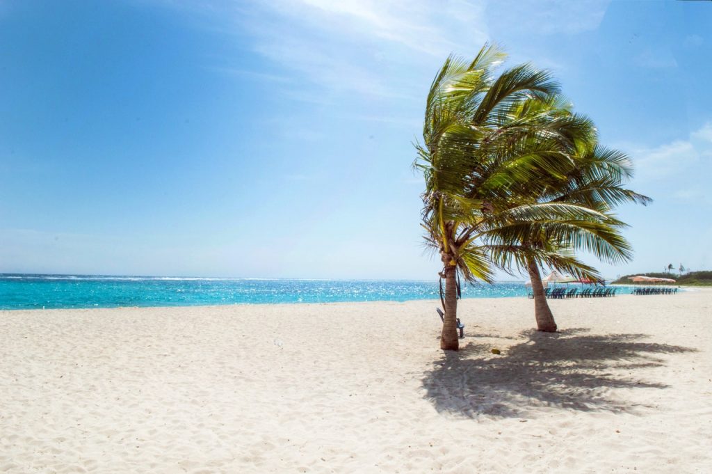 Afife, otra playa que seguramente te gustará 
