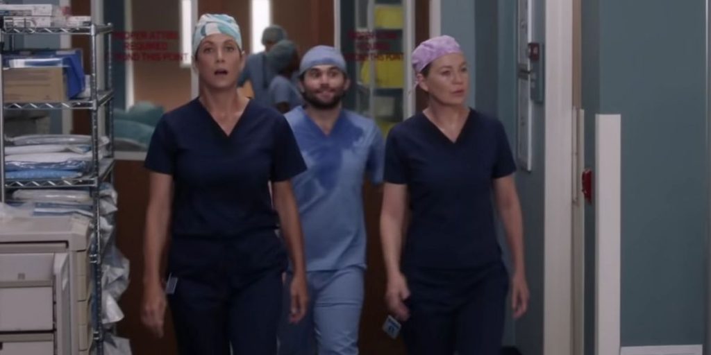 ¿Qué es la Anatomía de Grey?