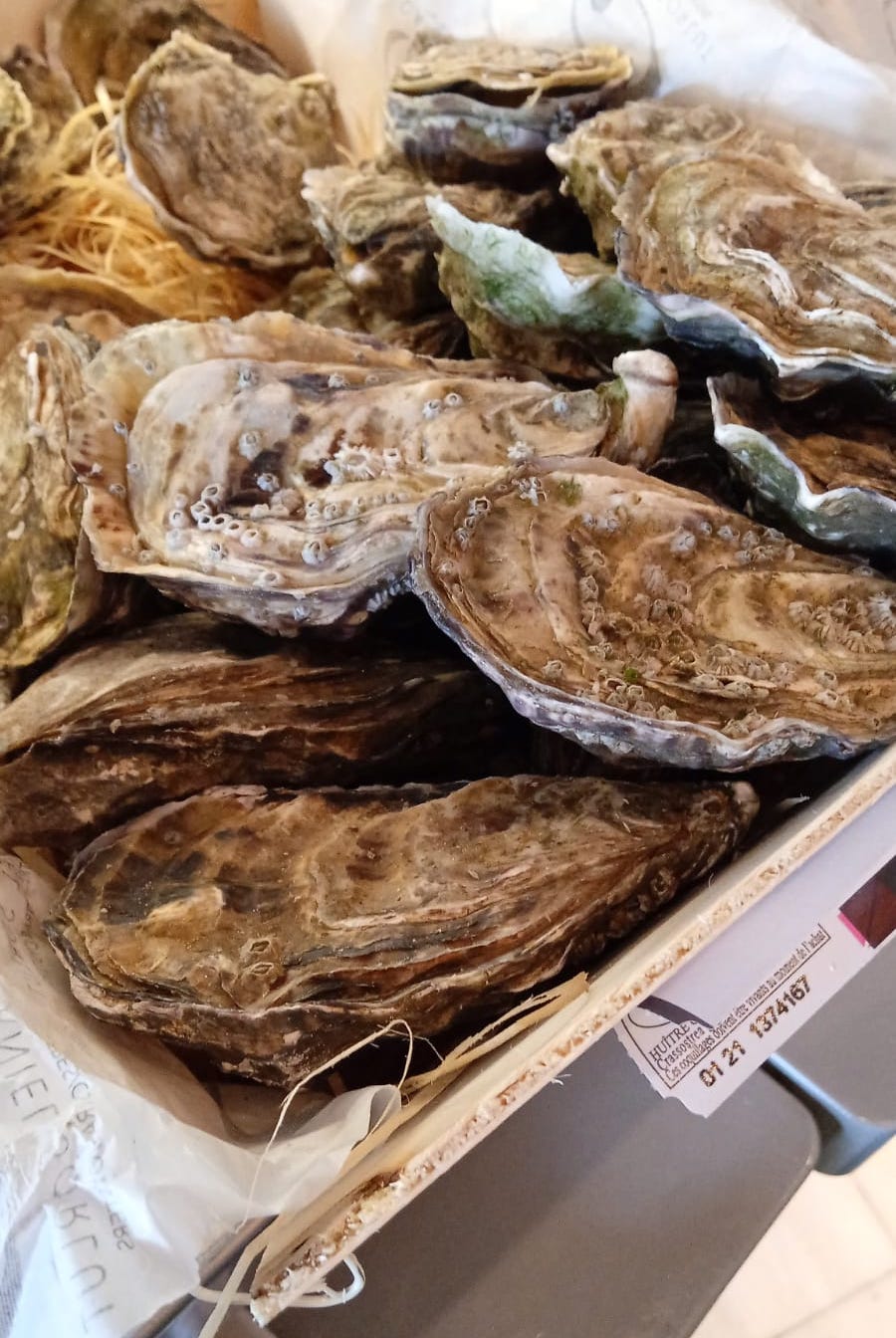 Arzabal Retiro OSTRAS