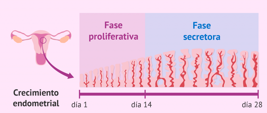 ¿La biopsia es la única opción?