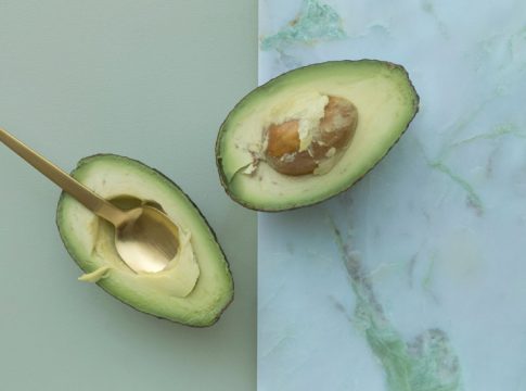 Consejos para plantar un aguacate desde el hueso 1 Consejos para plantar un aguacate desde el hueso