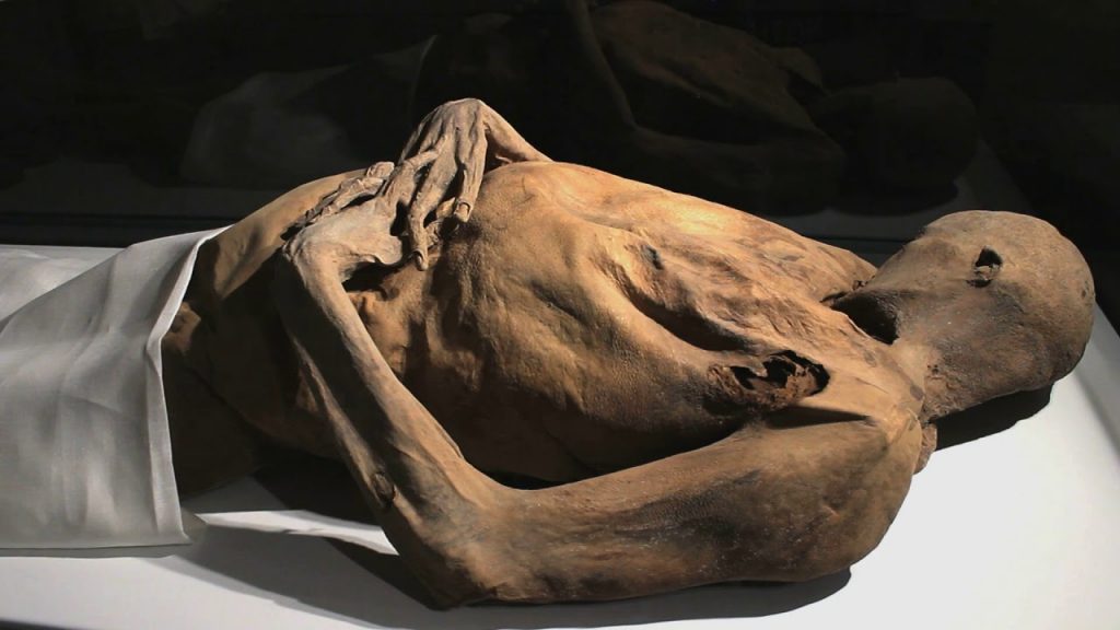 De la curiosidad al respeto: por qué los museos están replanteando sus exhibiciones