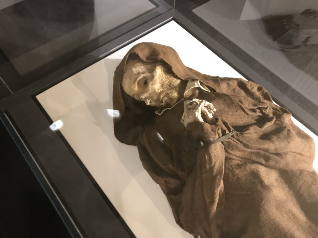 ¿Cuántas momias hay en el museo?