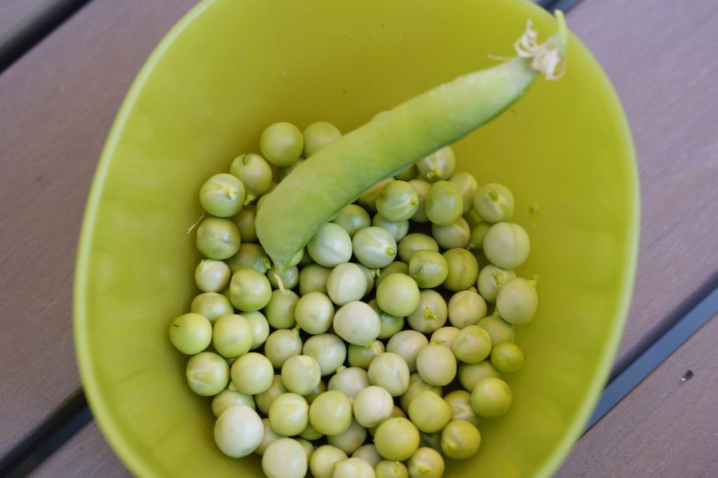 Esta es la receta de Arguiñano que bate récords en Youtube 1 guisantes