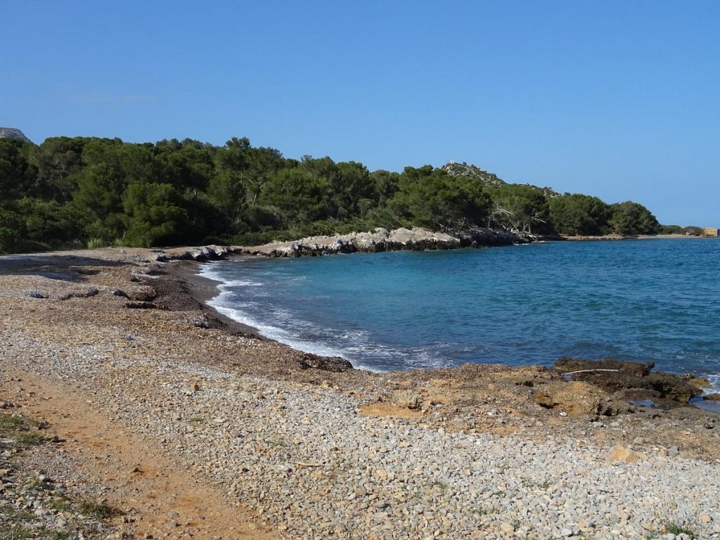 Estas son las playas de España perfectas para ir con niños 9 En Mallorca, Playa de Alcudia